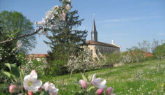 Monastère Notre-Dame du sacré coeur de Chambarand