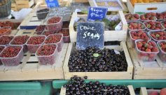 Marché de Seyssinet-Pariset (Place André Balme)