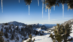 Réserve Naturelle Les Hauts Plateaux du Vercors