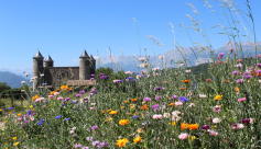 Château  de Bon Repos