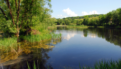 Réserve Naturelle de l’étang de Haute-Jarrie