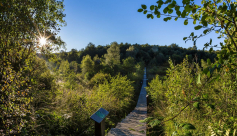 Espace naturel sensible de la Tourbière des Planchettes