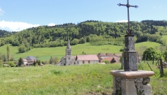 L&#039;ancienne Forêt Noire de la Chapelle de Merlas