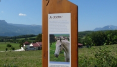 Randonnée familiale Sentier d&#039;interprétation Jarrie-Champagnier