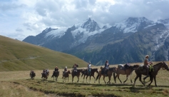 La ferme équestre des 4 chemins