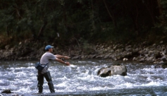 Pêche dans la rivière Guiers