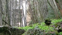 Cascade du Furet