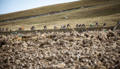 Haute Route Alpes