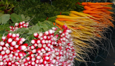 Marché hebdomadaire du vendredi