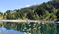 Chamrousse 1750 - Lac des Vallons