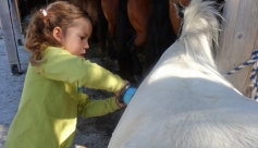 Mini stage poney : une matinée sur le Vercors