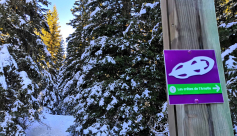 MODIFIE - Itinéraire raquette à neige : Crêtes de l&#039;Arselle