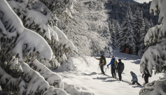 Itinéraire raquette à neige : Pré Gaudet