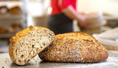 Un Fournil à la Ferme