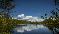 Espace Naturel Sensible de la Save - Secteur des étangs de Passins