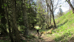 Gorges de Sarenne en boucle - Rando