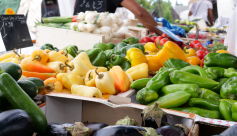 Marché du Pin