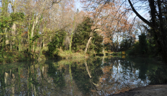 Le parc des Etangs