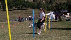 Mini Musher OZ -Découverte chiens de traineaux