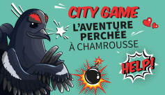 Animation city game - Aventure perchée