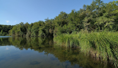 Espace Naturel Sensible de la Save : étang de Roche Plage et communaux de Thuile