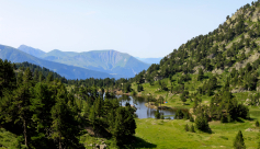 Parcours trail Arselle - lac Achard