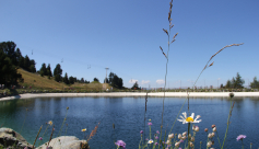 Lac des Vallons