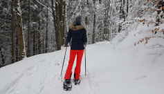 Sentier raquettes : Col du Lac Blanc