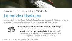 Sortie nature &quot;Le bal des libellules&quot;