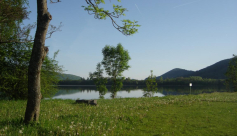 Lac de Pierre-Châtel - Aire de pique-nique des Cordeliers