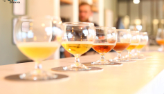 Brasserie des Balcons : Fabrique de bière et Taproom