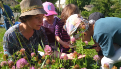 Voyage  botanique au  jardin médiéval par Cloé Flament, ingénieur horticole