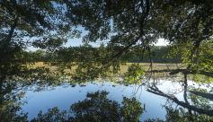 Balade nature commentée