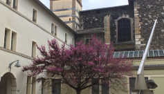 Visite guidée du Collège Ponsard