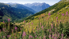 Au col du Sabot (2100 m)