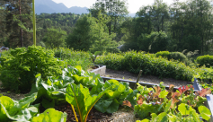 Stage Terre Vivante :  Eco Jardin Integrale