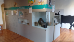 Visite guidée au musée archéologique de Hières-sur-Amby : la céramique au fil du temps