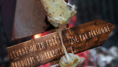 Expérience raclette en forêt