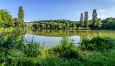 Randonnée nature avec panorama, entre Crémieu, cité médiévale et l&#039;étang de Dizimieu