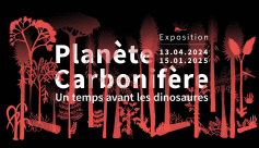 Planète Carbonifère - Un temps avant les dinosaures