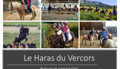Stages d&#039;équitation au Haras du Vercors