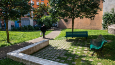 Le jardin du musée : des vestiges archéologiques aux essences végétales - Visite guidée