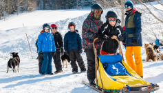 Initiation à la conduite de chiens de traîneau