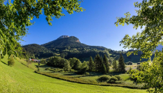 Espace naturel sensible du Marais des Sagnes