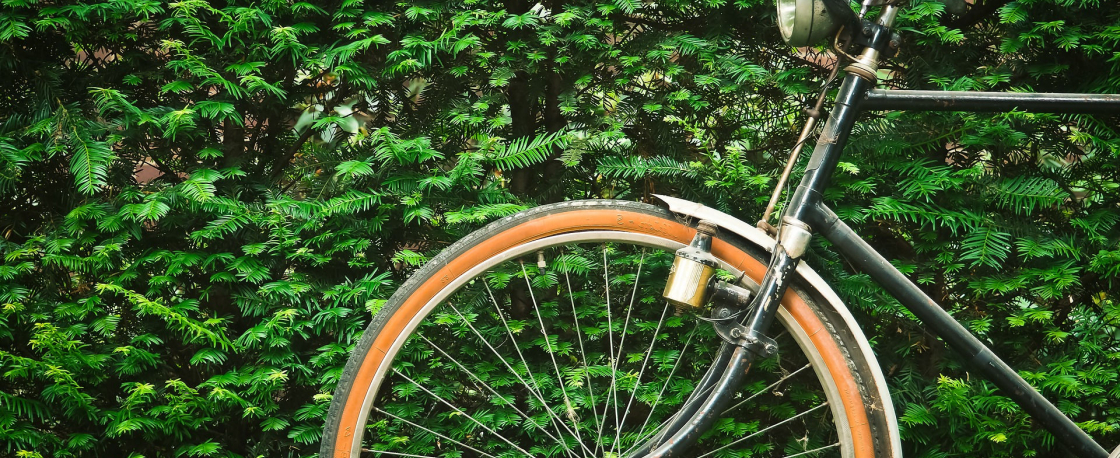 bike-cyclo-alpes-isere-pixabay-michaelgaida