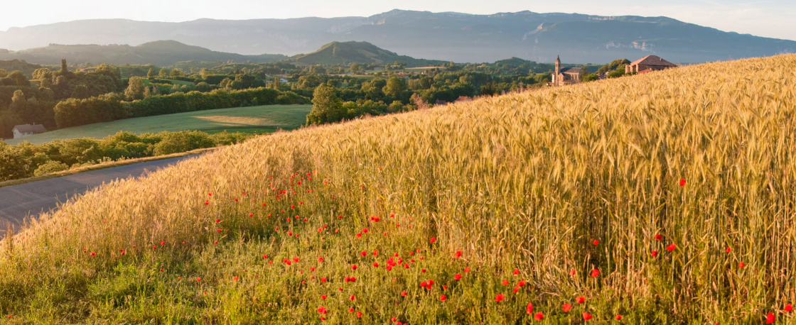 paysage-vercors-isere-sud-gresivaudan-pierre-jayet