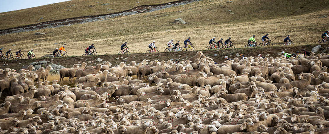 Alpe d'Huez