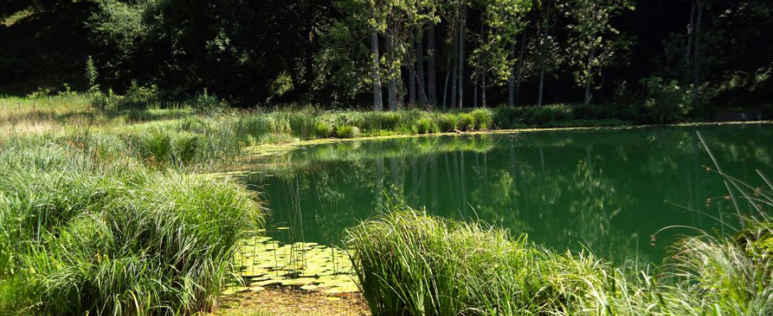 Lac Saint Sixte Merlas Valdaine Pays Voironnais