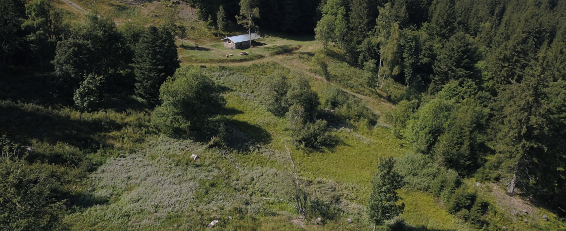 Chalet du bout