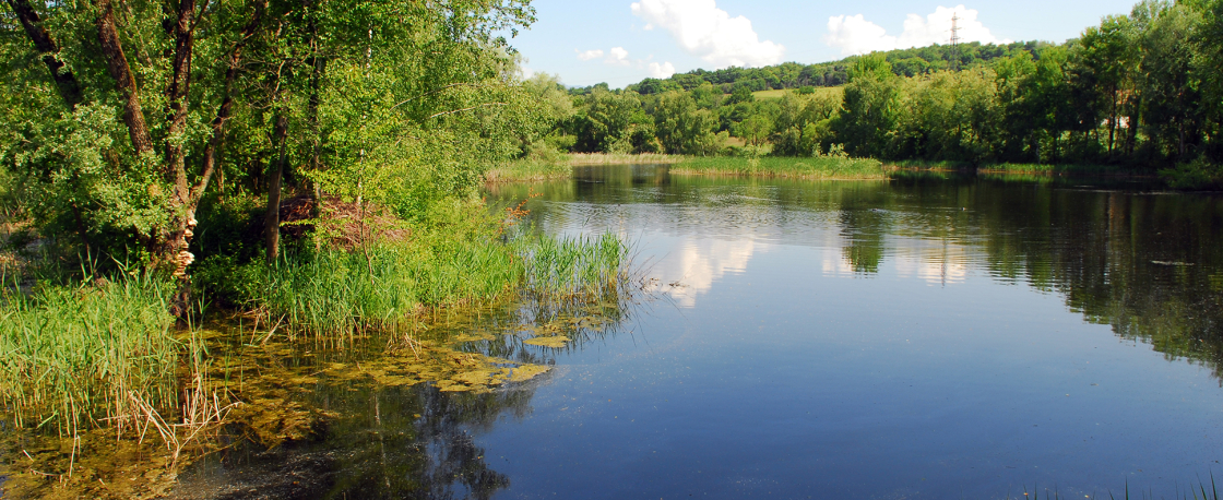 Rserve naturelle rgionale de Haute-Jarrie